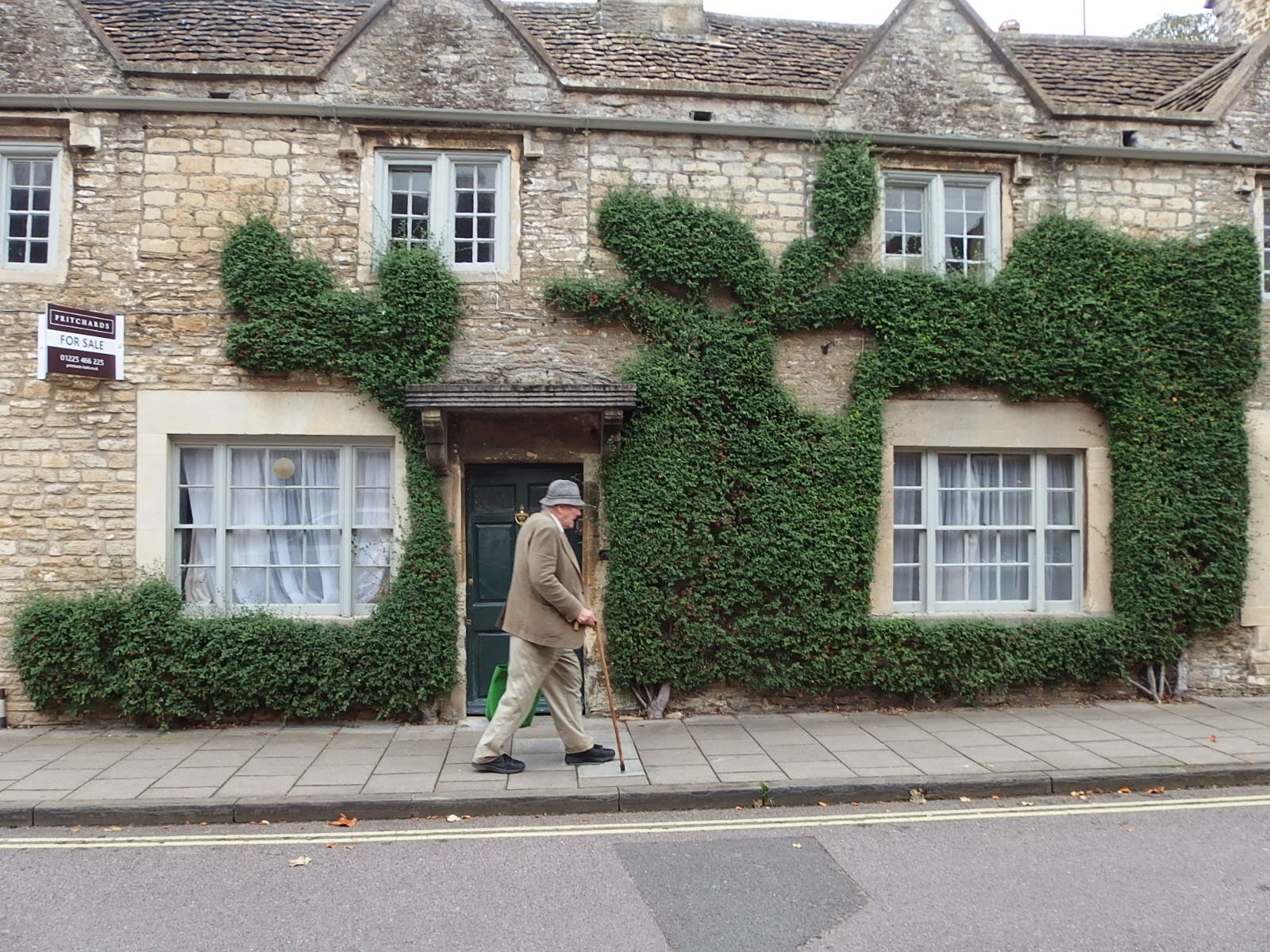 Unusual Front Gardens 22 Cotoneaster