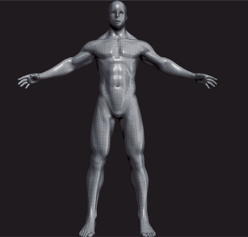 Anatomy+full+body.jpg