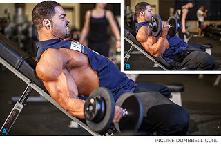Triceps Dip on a Bench :