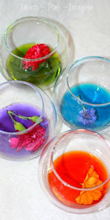 Homemade natural watercolors made from real flowers - This experiment is amazing!
