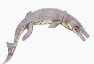 Metriorhynchus