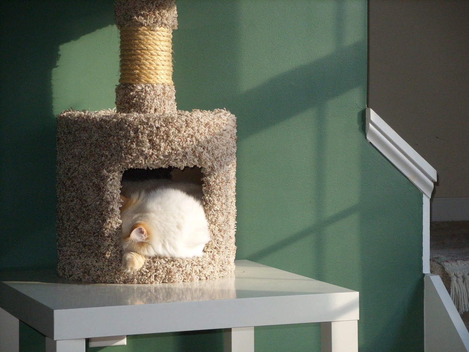 Book Chic April 2012