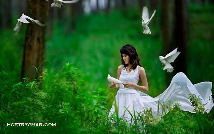 Condition Of Love