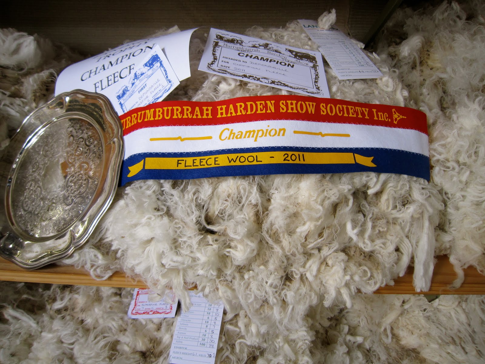 One Hungry Hen Murrumburrah Harden Spring Show