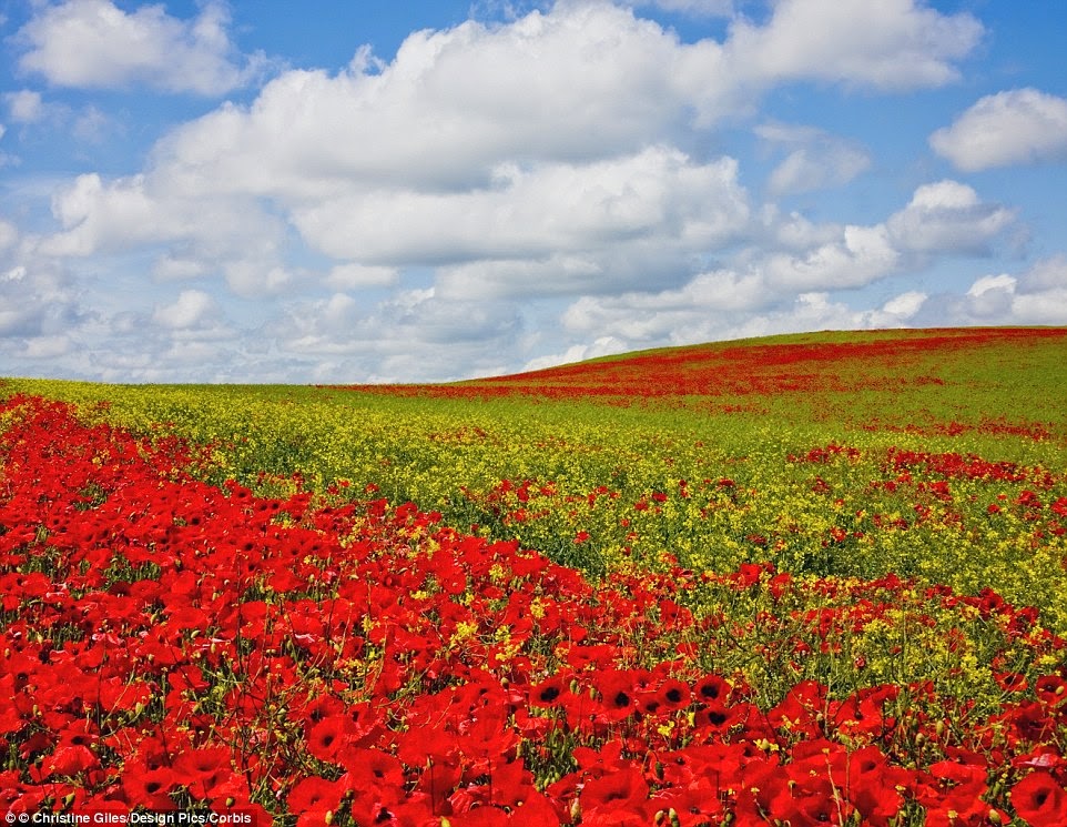 The most beautiful spring destinations in the world Best of Vacations