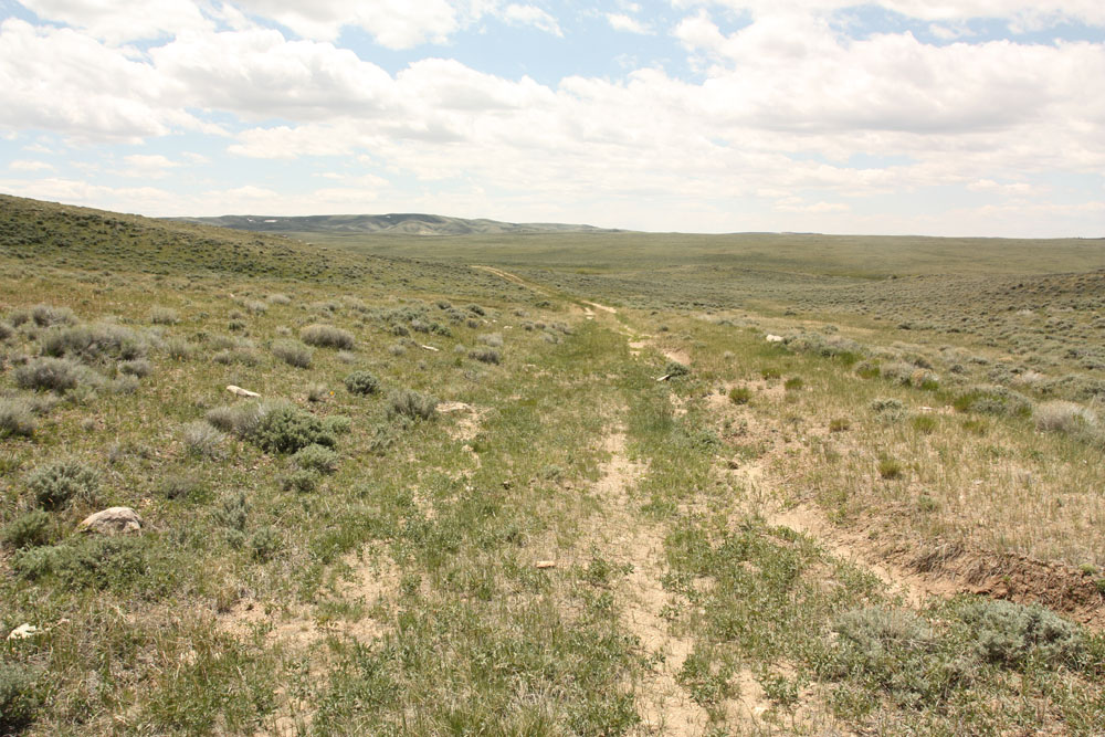 Adventures in Cambrian Geology Rattlesnake Hills, Wyoming