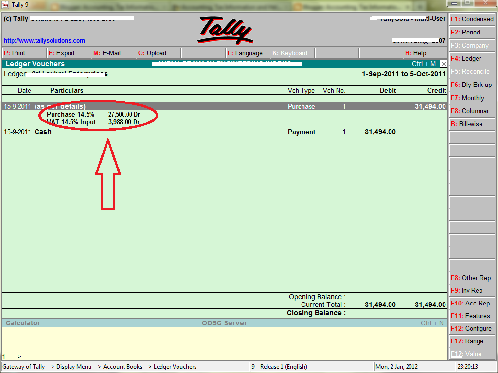Filter Ledger Accounts In Tally ? (Ledger Amount Contain Specific Value