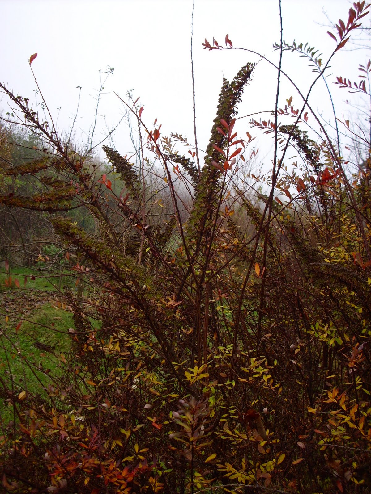 Martin In Broda November 2011