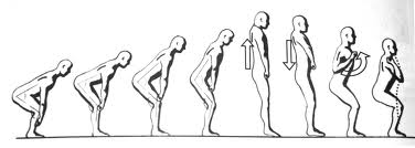 power clean diagram crossfit fort i hear theres a named quot quot who power clean diagram crossfit fort i hear theres a named quot quot who