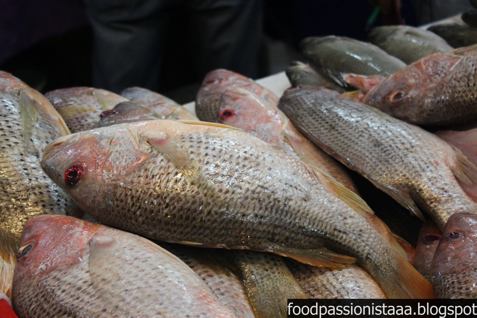 Ikan Jenahak Image
