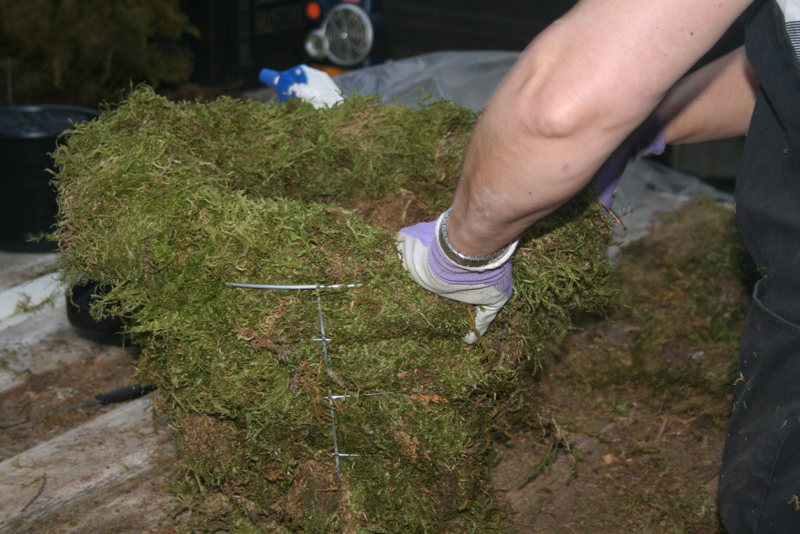 West Coast Gardens Planting the Moss Baskets