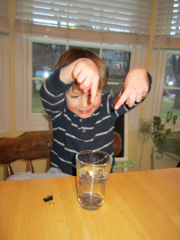 raisin experiment