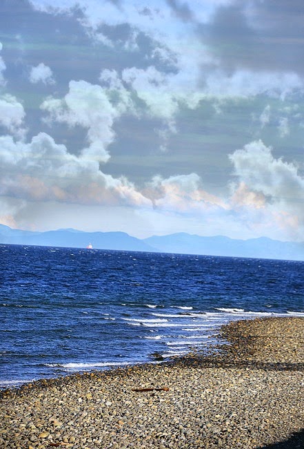For The Love Of Dirt Whales At Tyee Spit