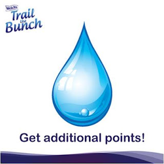 Welch's Trail the Bunch Game