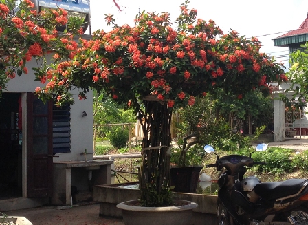 [Image: ngoi-nha-mau-don-lang-man-hon-phim-han-g...-nam-4.jpg]