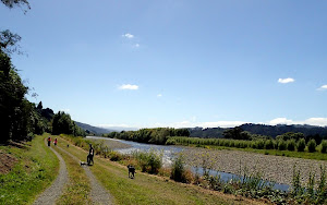 Cycling along the Hutt River, Wellington