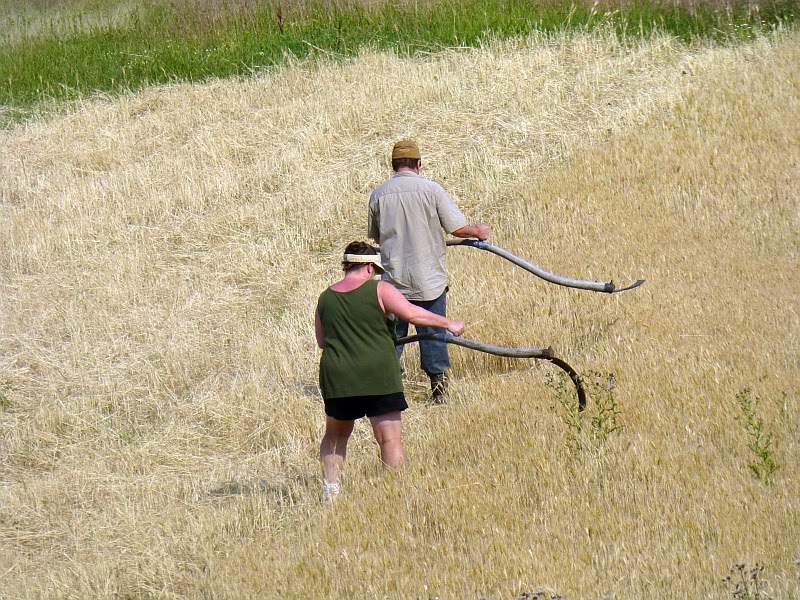 Rural Revolution Article pictures