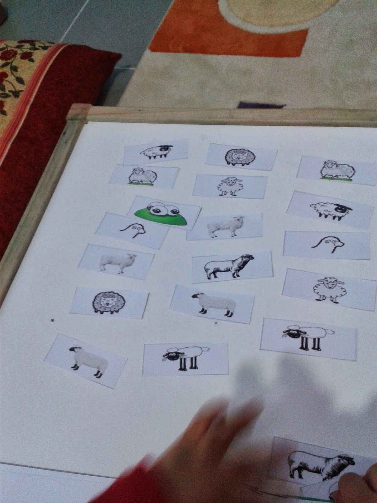 ali denizin tarihine dusulen notlar kuzu eslestirme