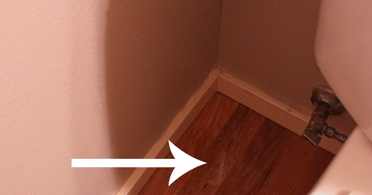 Pintest 365. Day 8 Removing Paint from Hardwood Floors (success).