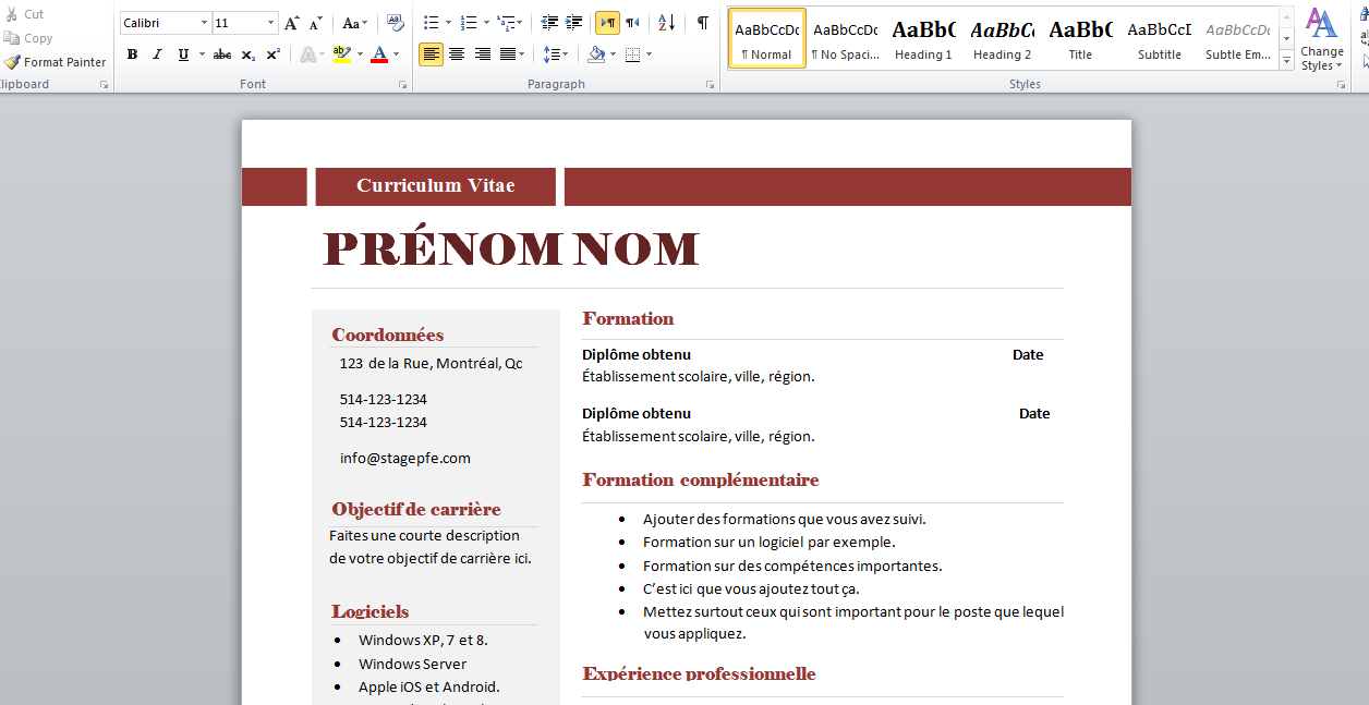 resume format  model cv 2015