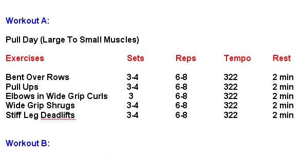 Biceps Exercises Chart For Building Big Biceps