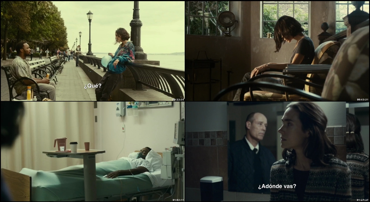 Shelter 2014
