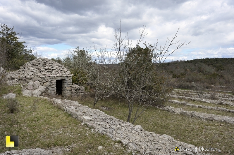 capitelle au dessus d'un terrain nettoyer de ses pierres photo pascal blachier