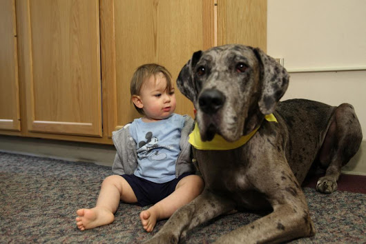 A Child Locator Is an Electronic Device