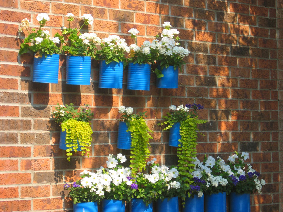 Ecotips: ideas para huertas chicas