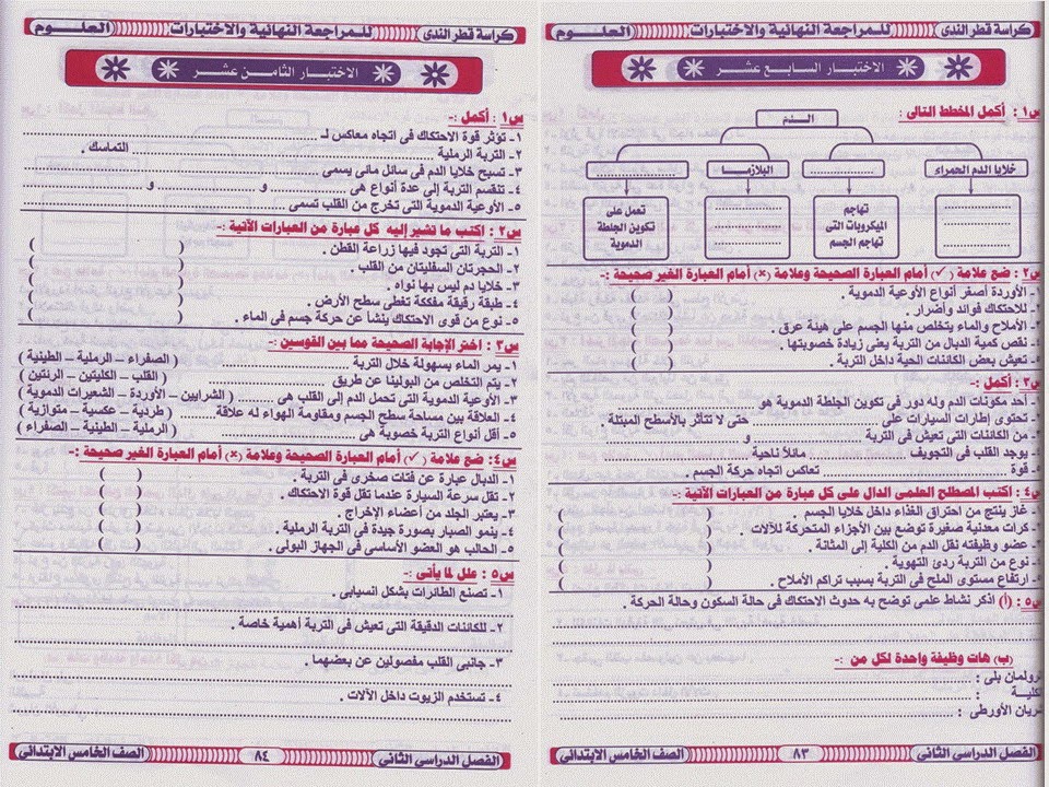 امتحانات علوم وحساب ترم ثانى2015 للصف الخامس