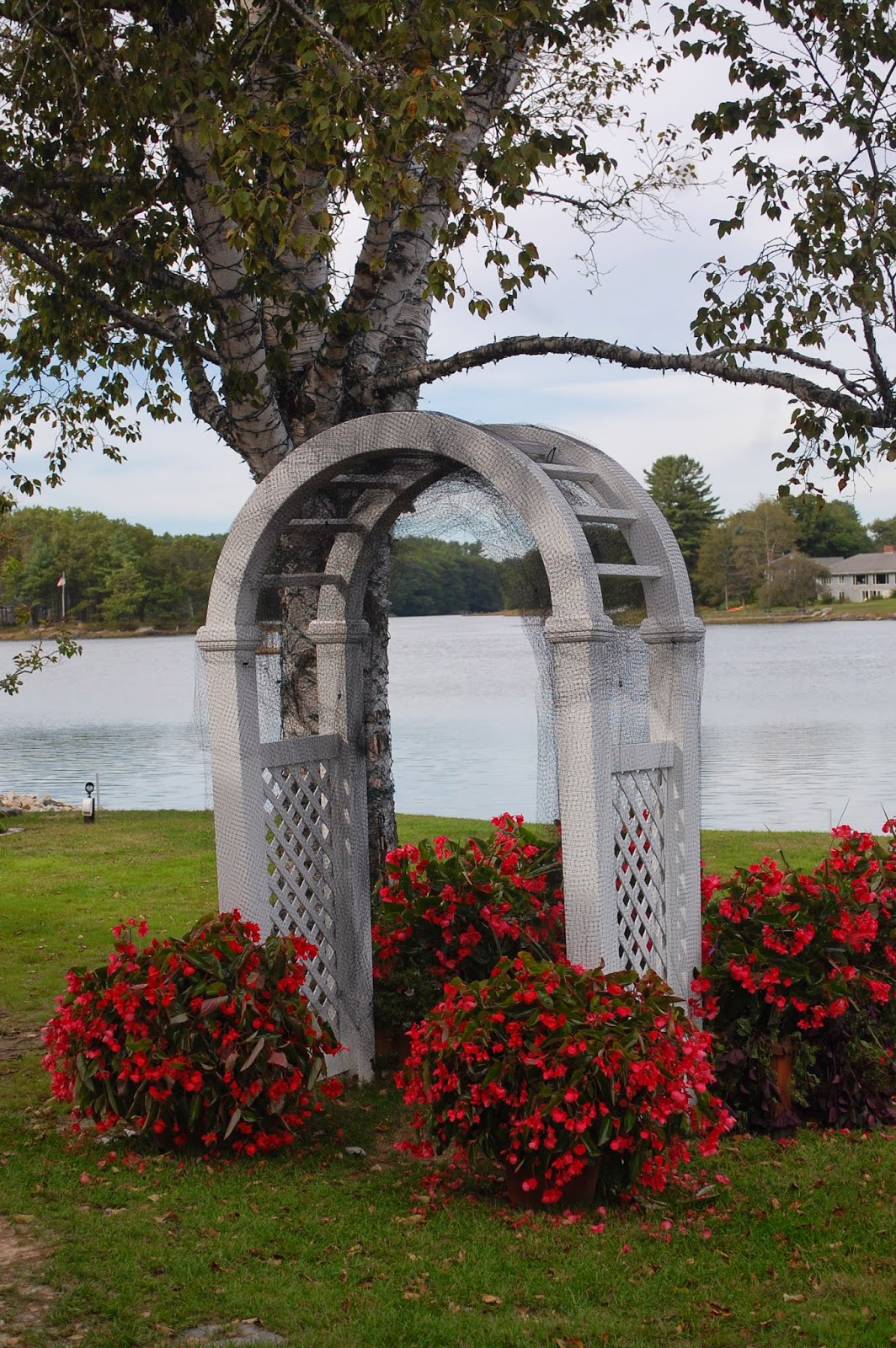 Sprouts Flowers Around Town Beautiful Kennebunkport, Maine