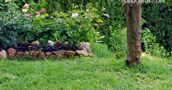 Guia de jardin. Blog de jardinería y plantas. Jardín en casa.: 5
