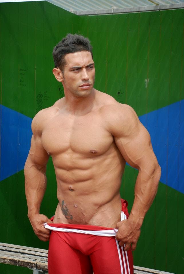 FRANCISCO DOMINGUEZ francisco dominguez: