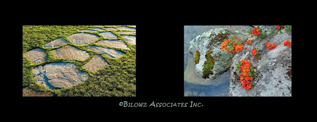 © Copyright - Bilowz Associates Inc.