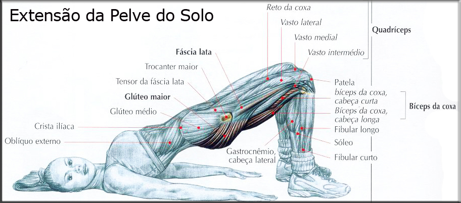 Como a drachit que o membro aumentará