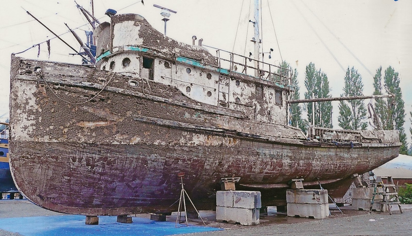 western boat saltwater people log december 2013 western boat saltwater people log december 2013