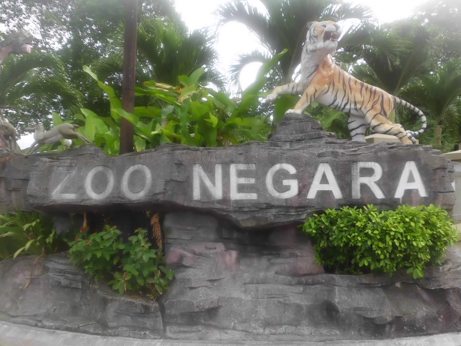 Efa Nur: Zoo Negara 2012