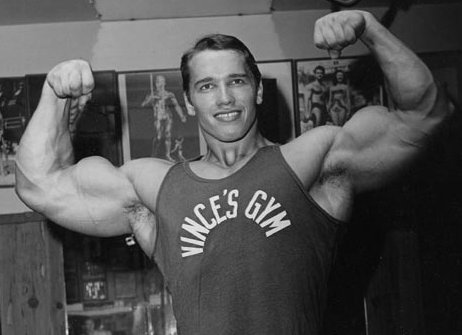 Arnold Arms