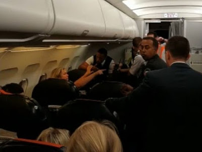 "Путин вас убьет": пьяная пассажирка самолета устроила французским полицейским ад