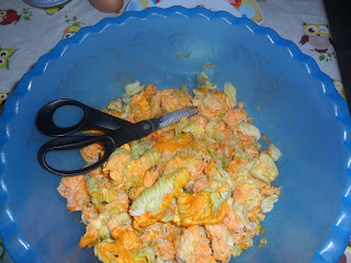 cut courgette flowers