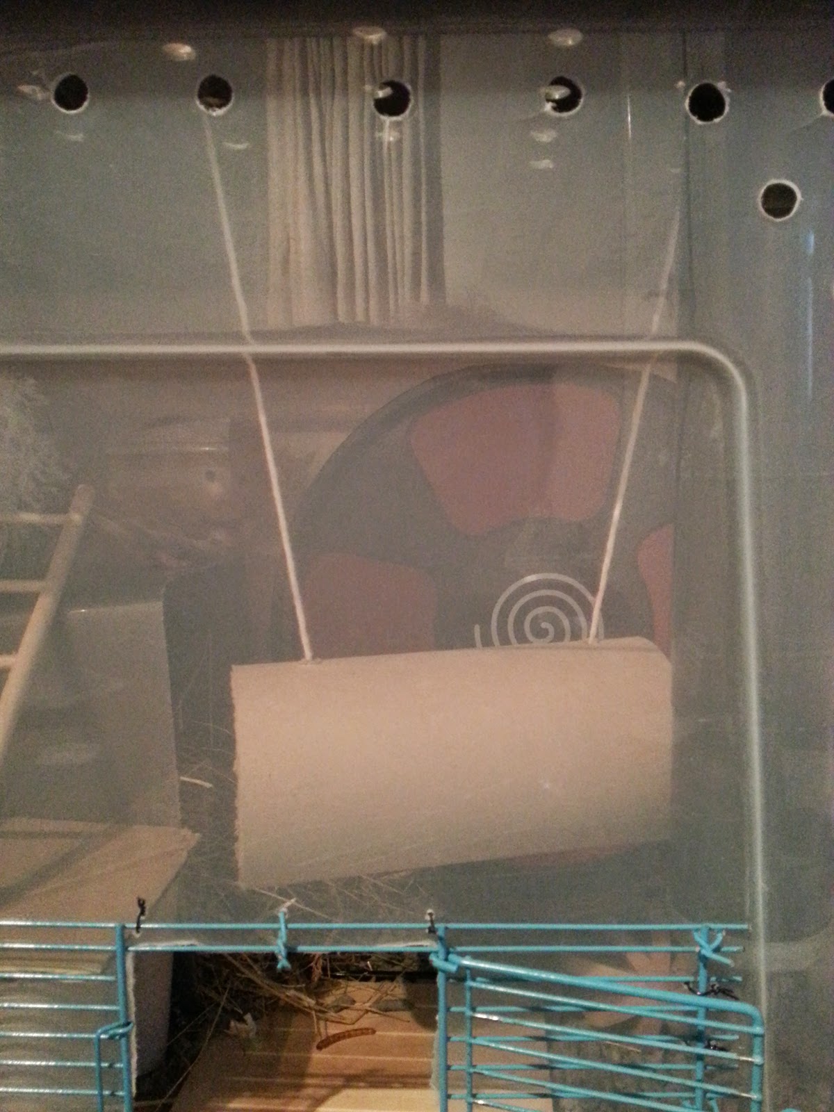 Lariath Live a Little. Hamster DIY Suspended TunnelBridge