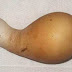 Unusual Chicken Egg