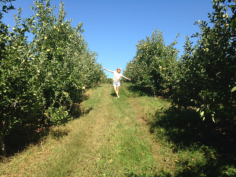 Hanging out in the apple orchard Hanging out in the apple orchard