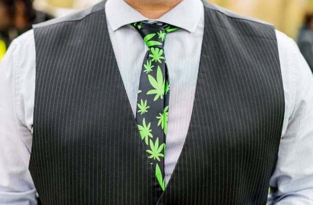 Indústria da Cannabis 'pode valer U$13 bilhões até 2020