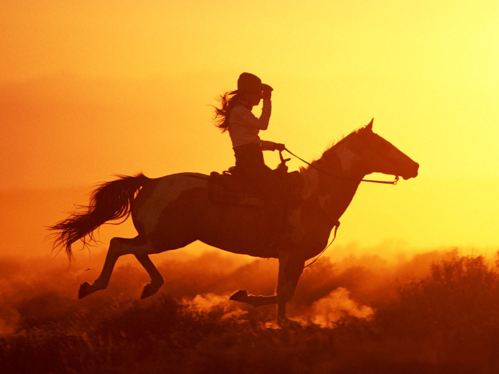 Cowboys Riding Horses