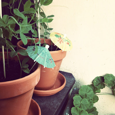 IMG 6013 Så var det över.