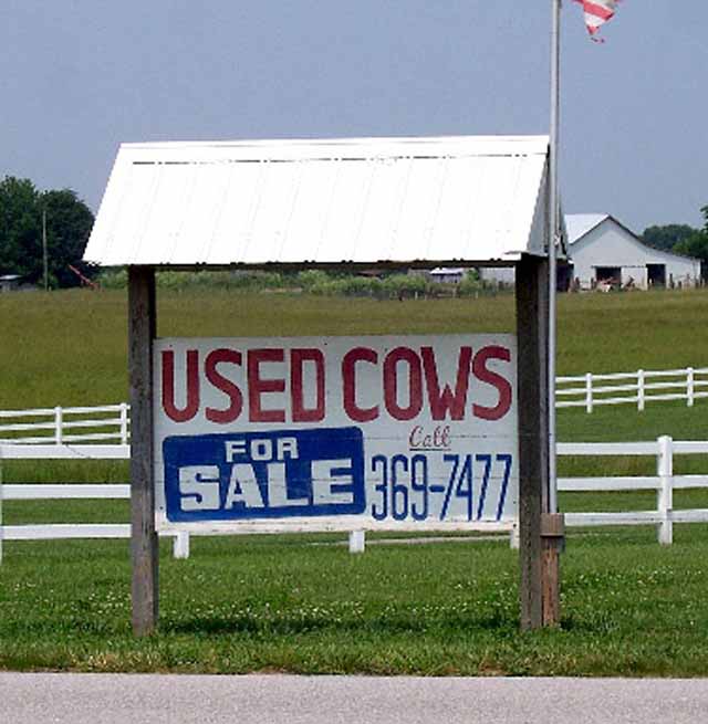 your-daily-humor-bizarre-signs-used-cows-for-sale.jpg