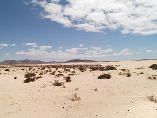 foto playa grandes dunas fuerteventura