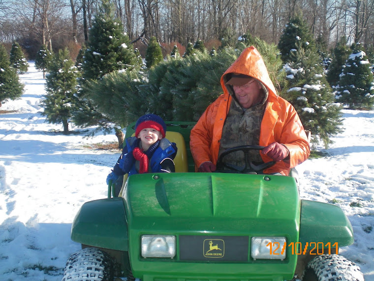 Driving our tree to the car