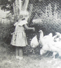Great Nannie's chickens